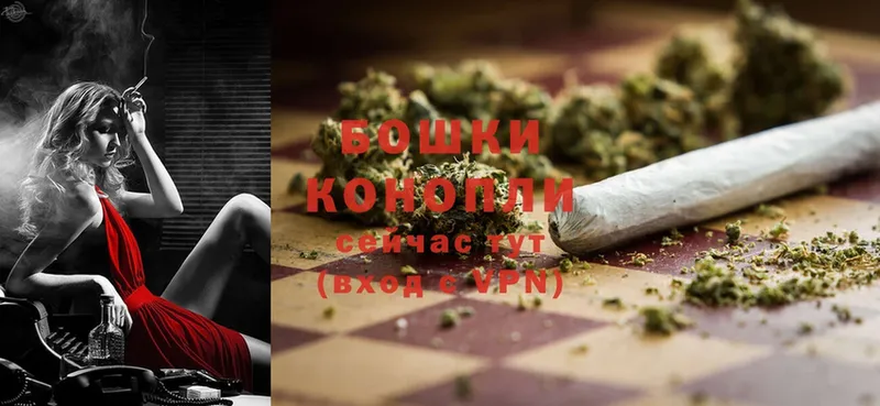 сколько стоит  Нелидово  Шишки марихуана OG Kush 